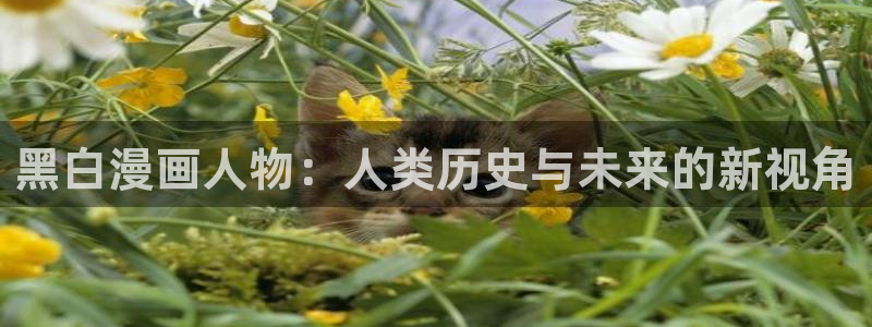 日本香蕉漫画：黑白漫画人物：人类历史与未来的新视角